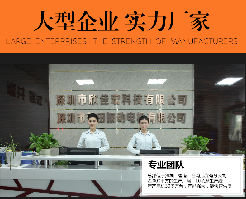 無刷振動電機(jī) 無刷振動電機(jī)