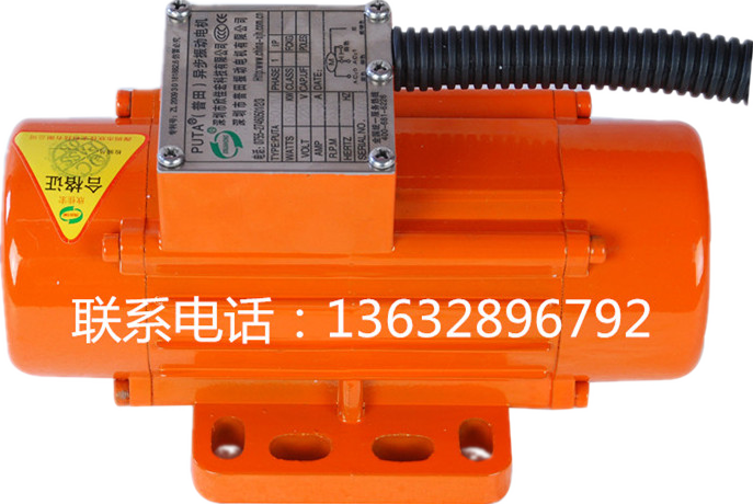 單相220V110V振動(dòng)電機(jī) 單相220V110V振動(dòng)電機(jī)