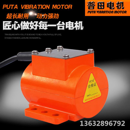 微型單相振動(dòng)電機(jī) 微型單相振動(dòng)電機(jī)